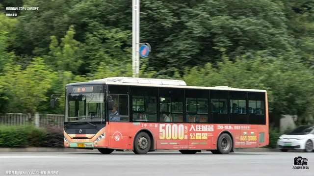 800BUS