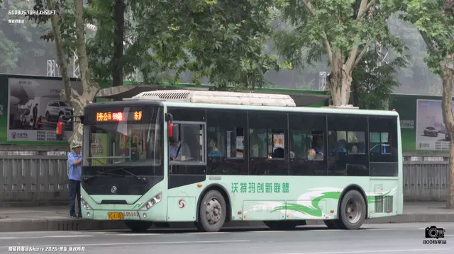 800BUS