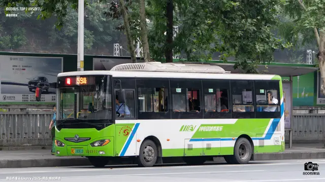 800BUS