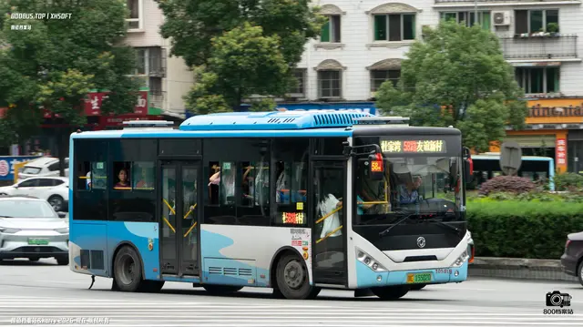 800BUS