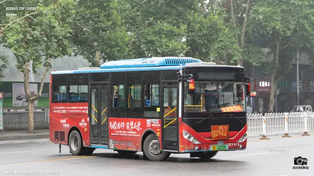 800BUS