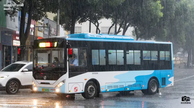 800BUS