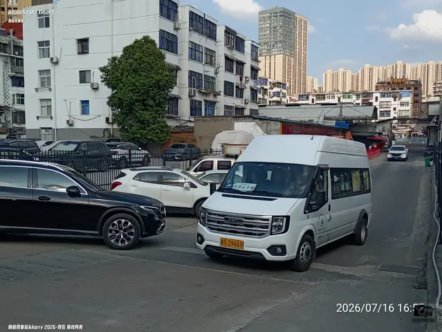 陕G 39668