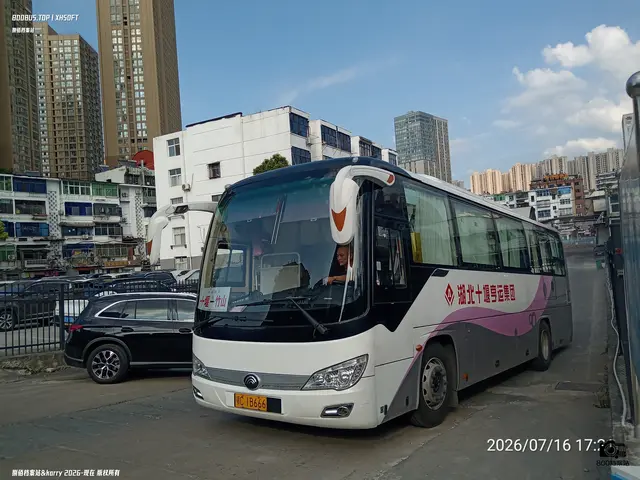 鄂C 1B666