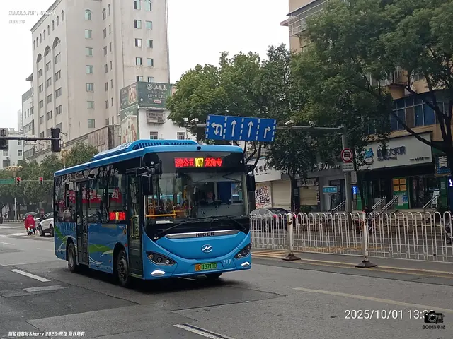 鄂C 13718D