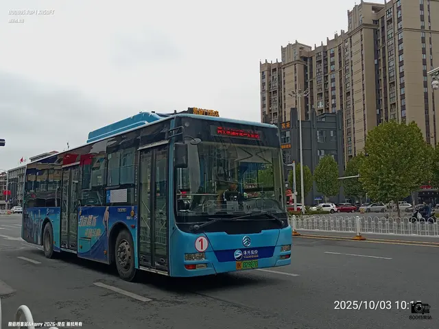 鄂K 02987D