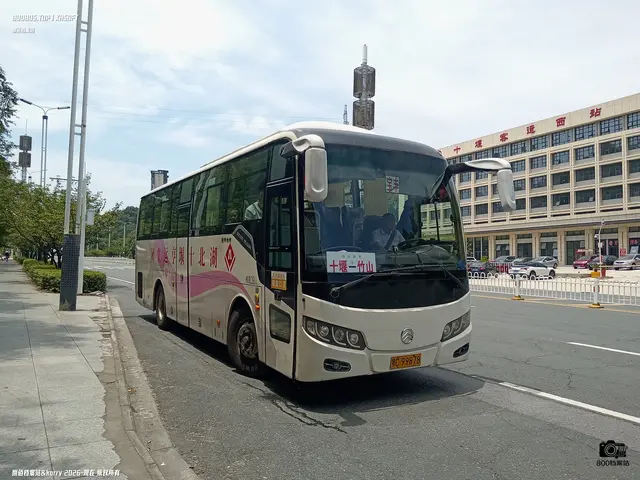 鄂C 99878