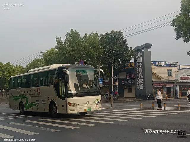 鄂C 13116D
