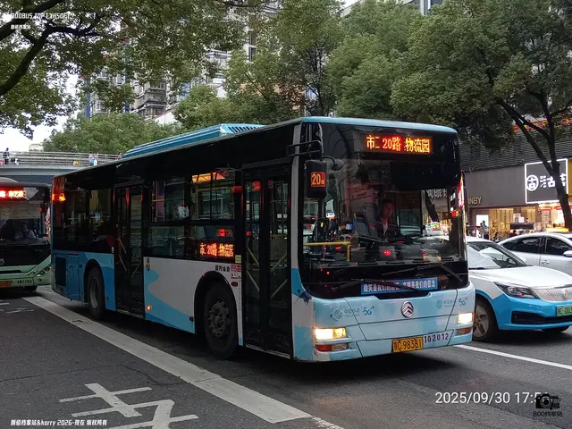 鄂C 98381