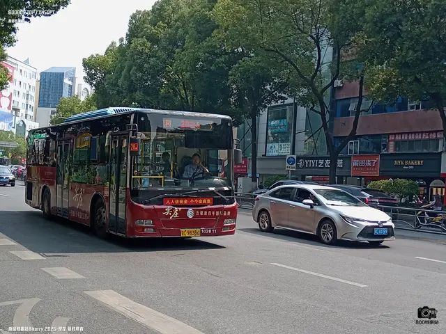 鄂C 98386