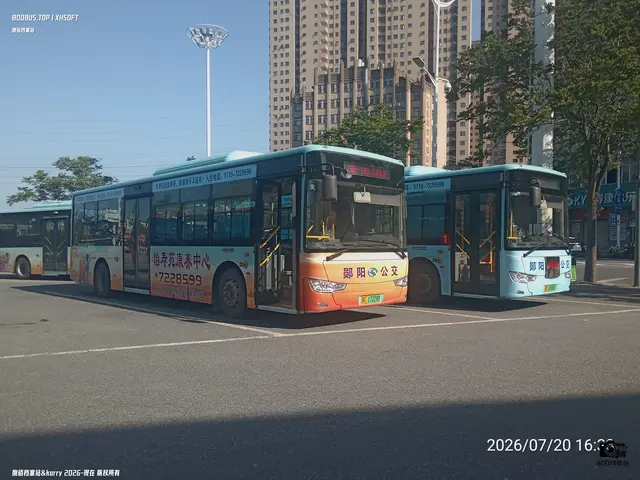 鄂C 17229D