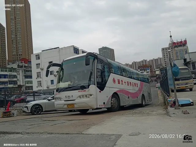 鄂C 99560