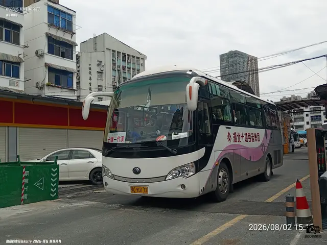 鄂C 9D177