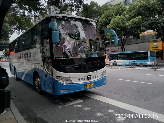 鄂F LY334