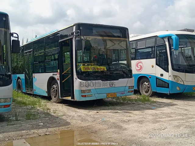 鄂C 98355