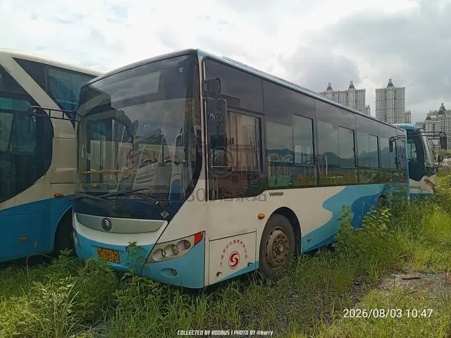 鄂C 98120