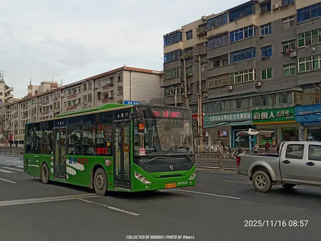 鄂C 251AZ