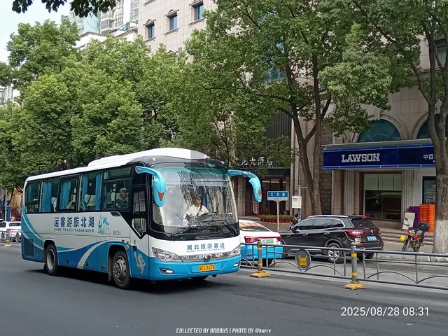 鄂C LY678