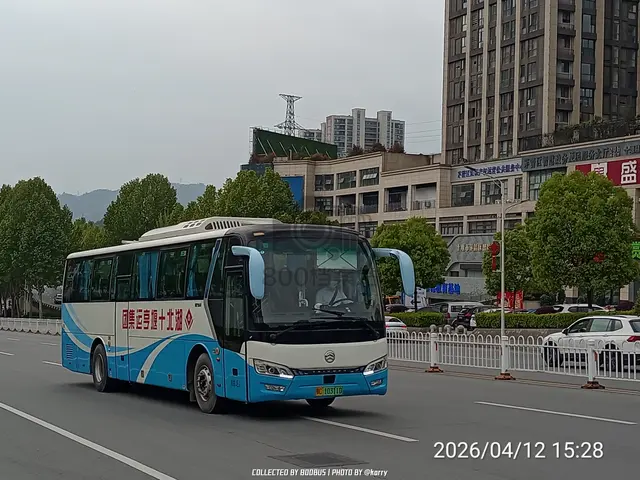 鄂C 10311D