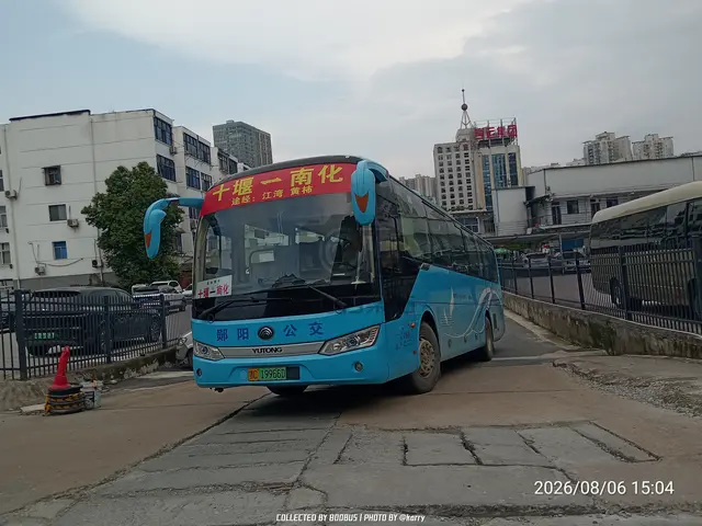 鄂C 19966D