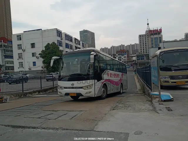 鄂C LY599