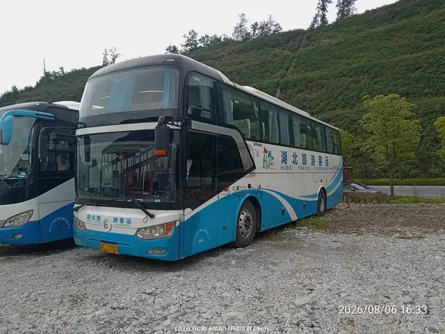 鄂C LZ787