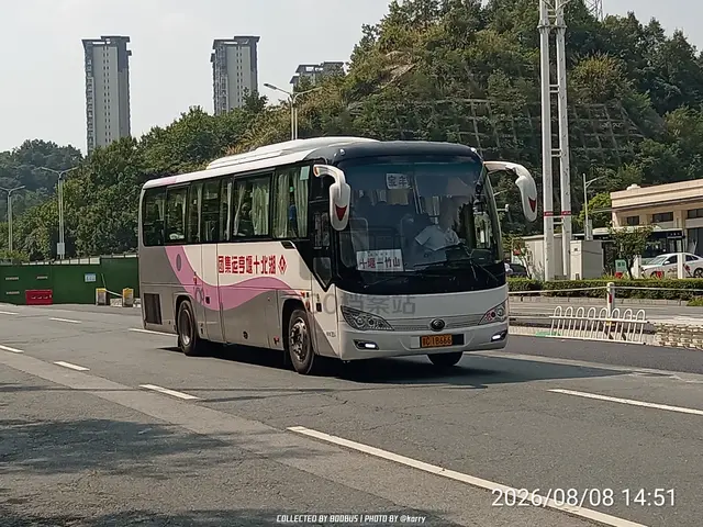 鄂C 1B666