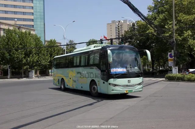 鄂F 10065D