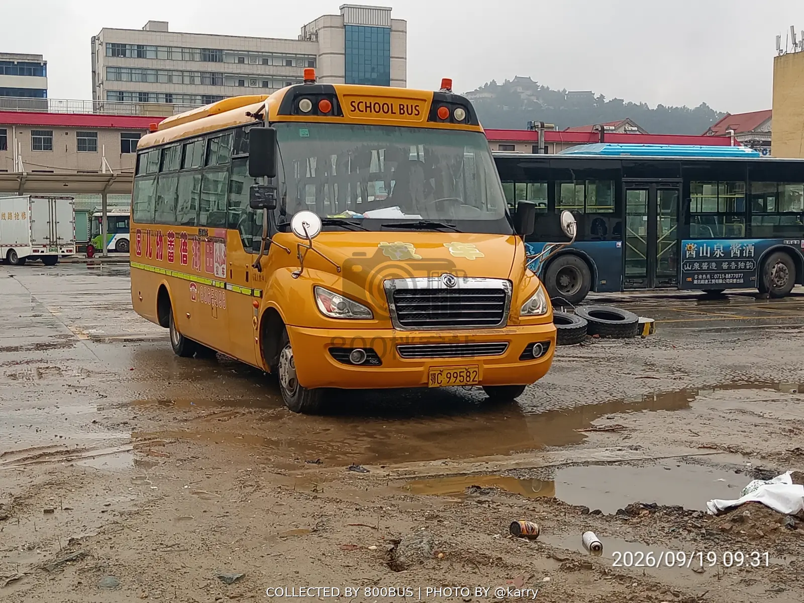 Bus Archive