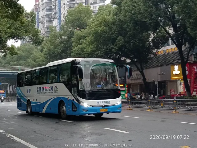 鄂C LY628