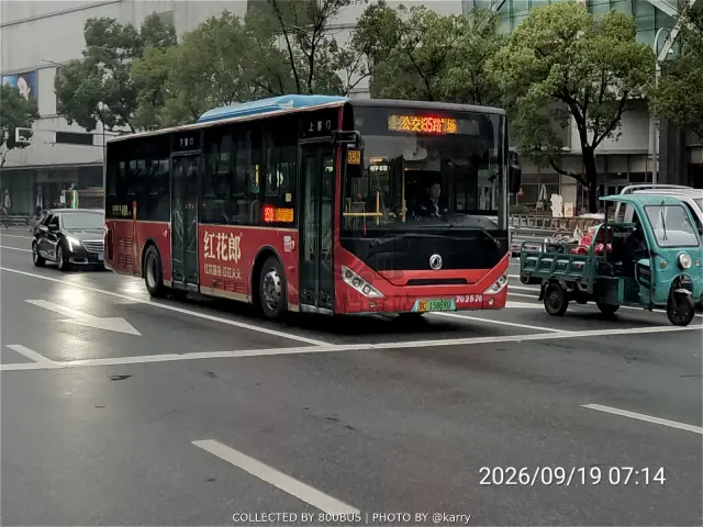 鄂C 15869D