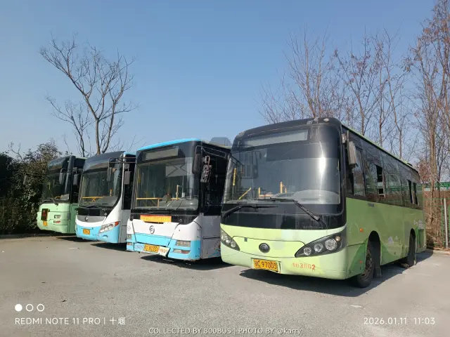 鄂C 97003