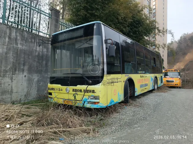 鄂C 95519