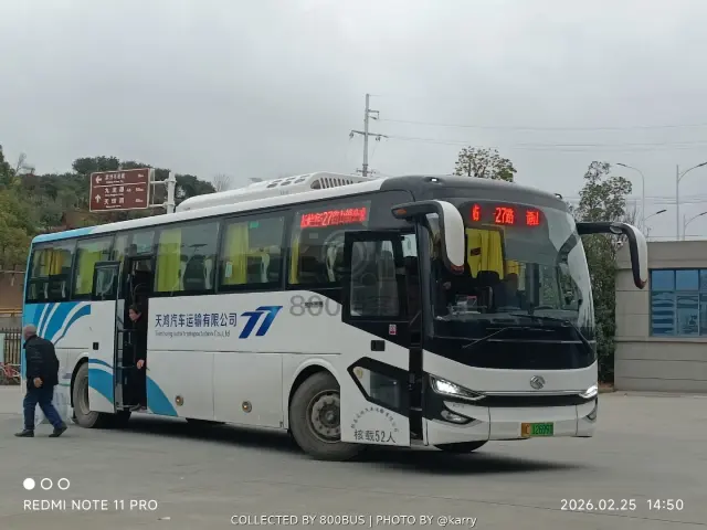 鄂C 12699D