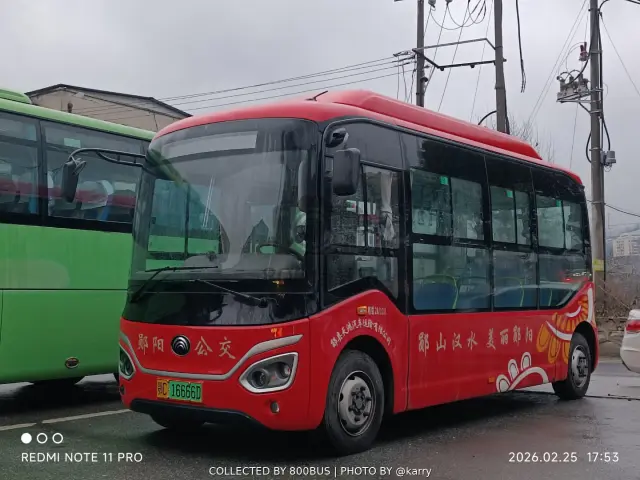 鄂C 16666D