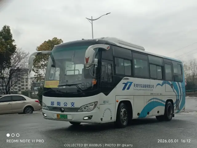 鄂C 18981D