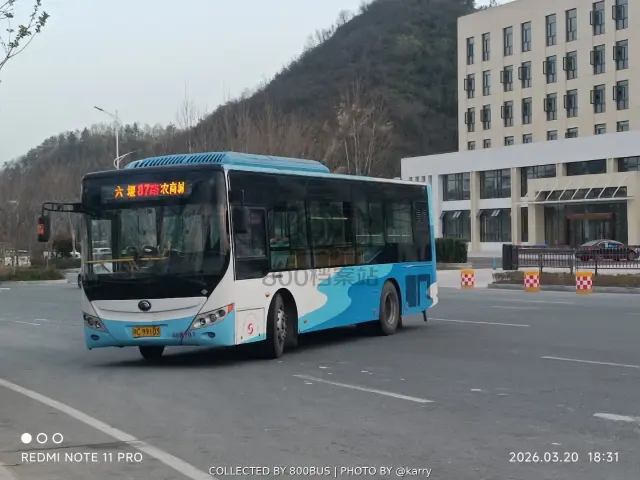 鄂C 99103