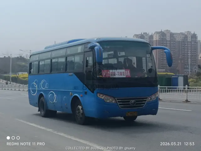 鄂C 98058