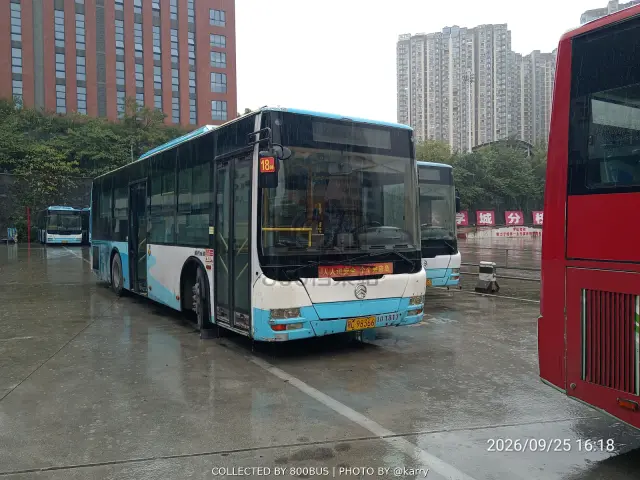 鄂C 98366
