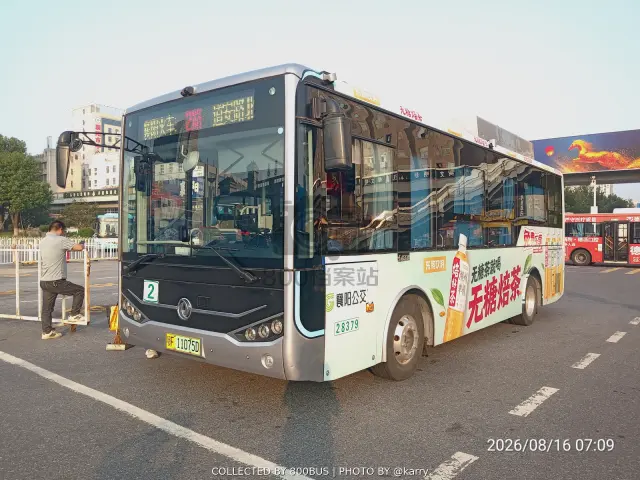 鄂F 11075D