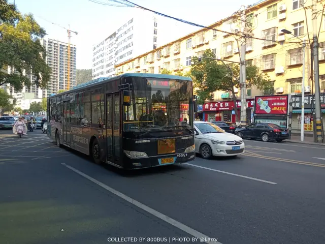 鄂C 98363