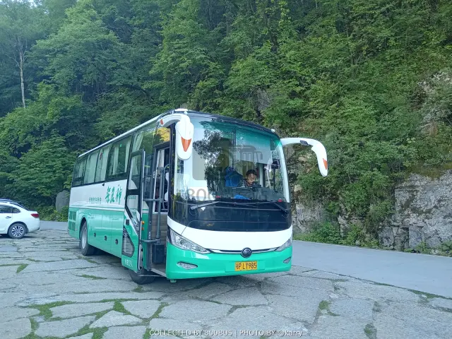 鄂P LY985