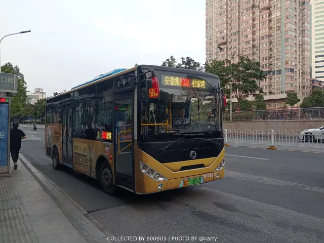 鄂C 11857D
