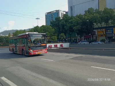 800BUS