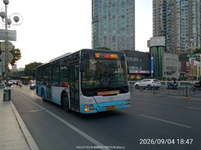 800BUS