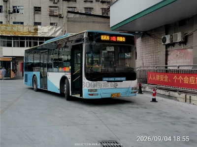 800BUS