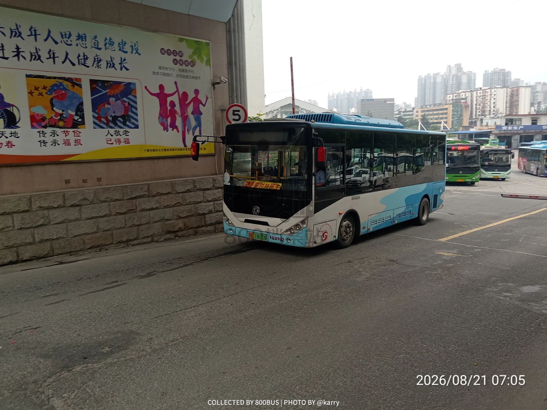 Bus Archive