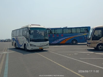 苏C 55773