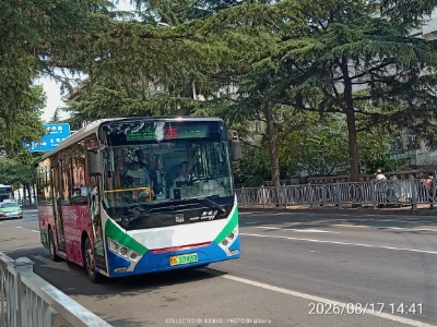 鲁B 10905D