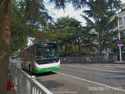 鲁B 08593D